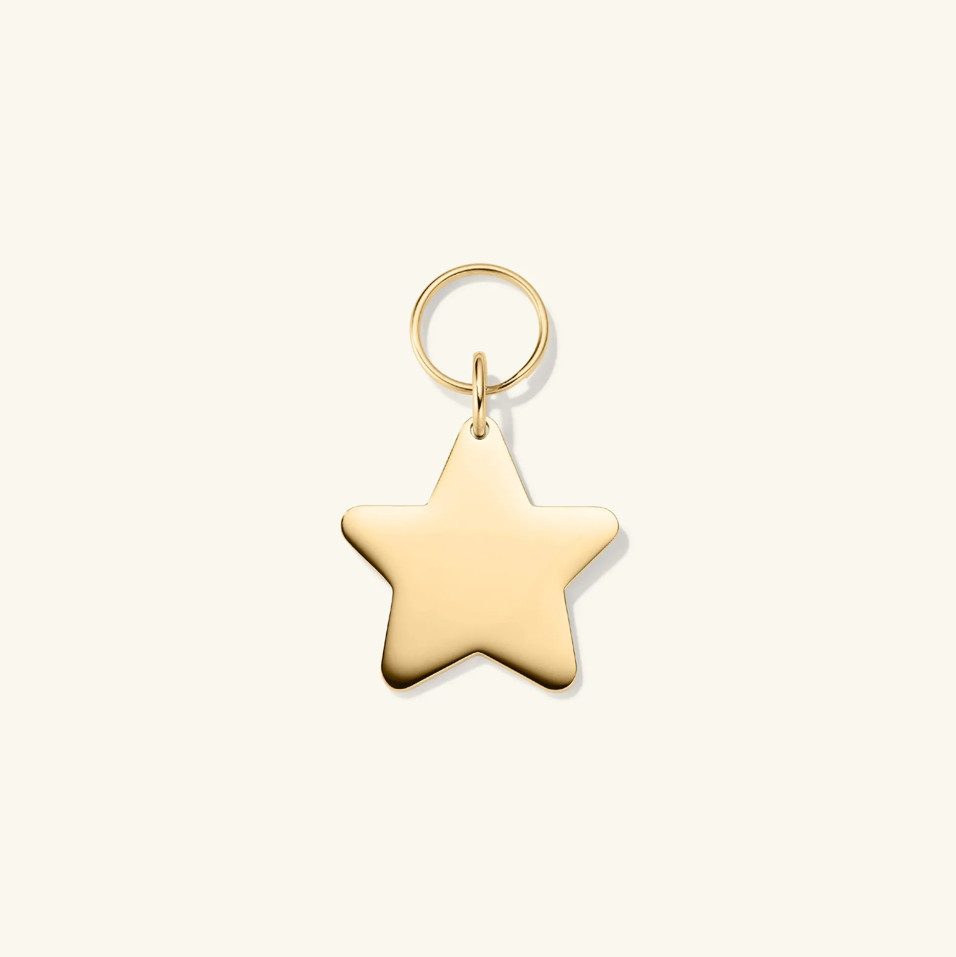 Mejuri Star Pet Tag- Lifestyle